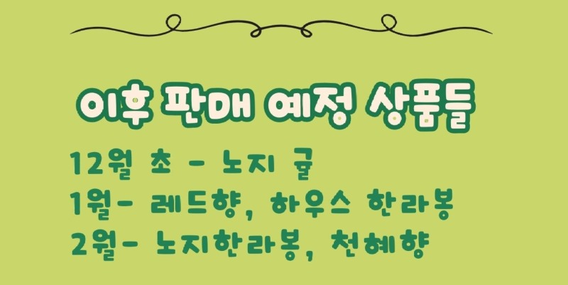 5. 이후 판매 예정 상품들.jpeg